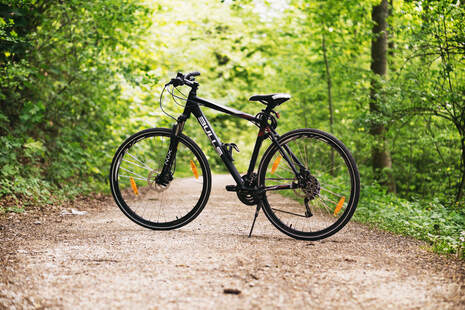 Bicycle on wooded trail